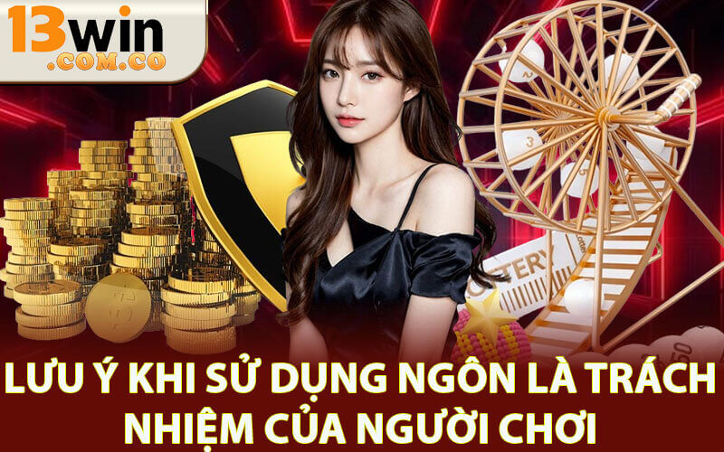 Trách nhiệm người chơi 13win