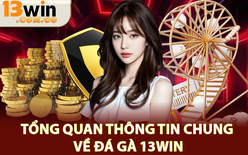 Đá gà 13Win