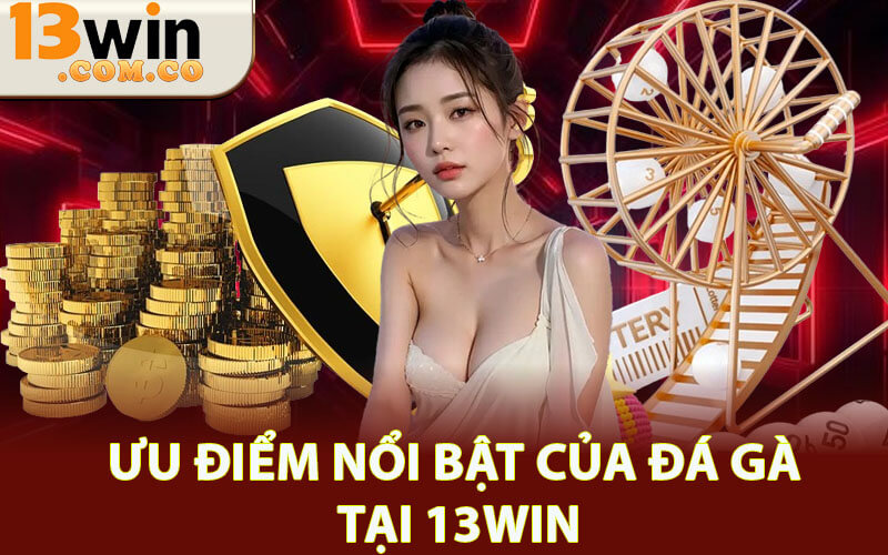 Đá gà 13Win